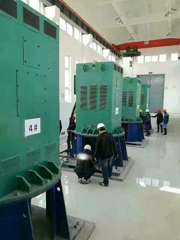 YR800-10某污水处理厂使用我厂的立式高压电机安装现场