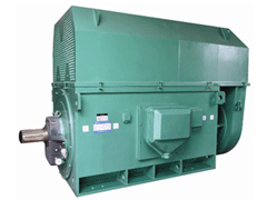 YR800-10Y系列6KV高压电机